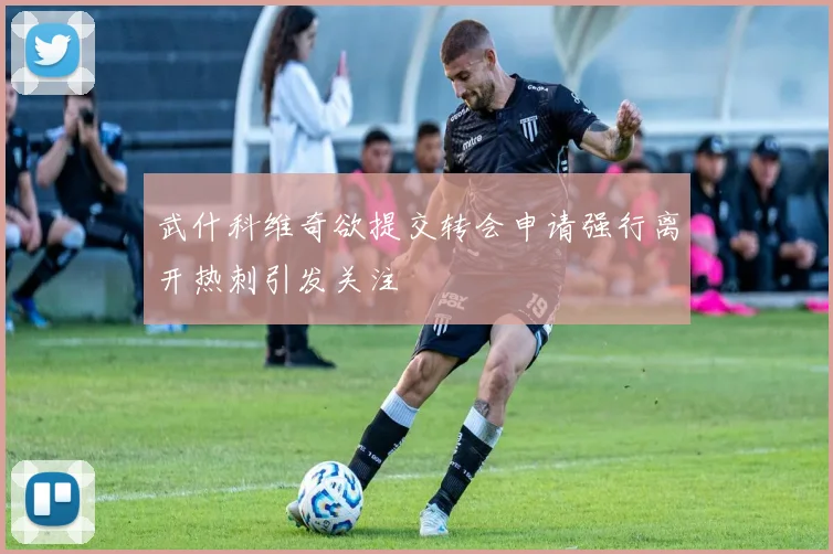武什科维奇欲提交转会申请强行离开热刺引发关注