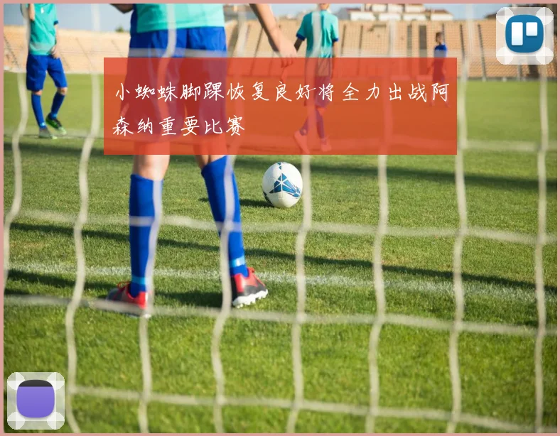 小蜘蛛脚踝恢复良好将全力出战阿森纳重要比赛