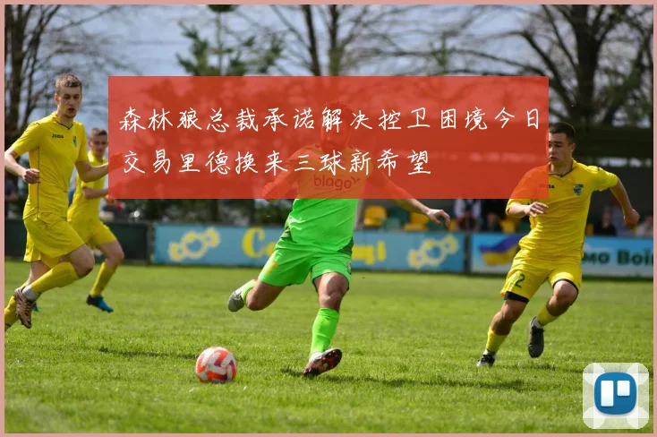 森林狼总裁承诺解决控卫困境今日交易里德换来三球新希望
